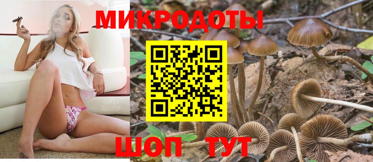 Избербаш  Галлюциногенные грибы Magic Shrooms  Вход с VPN 